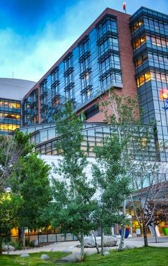 acton-crawford-8PB_TFEy2XQ-unsplash (1)